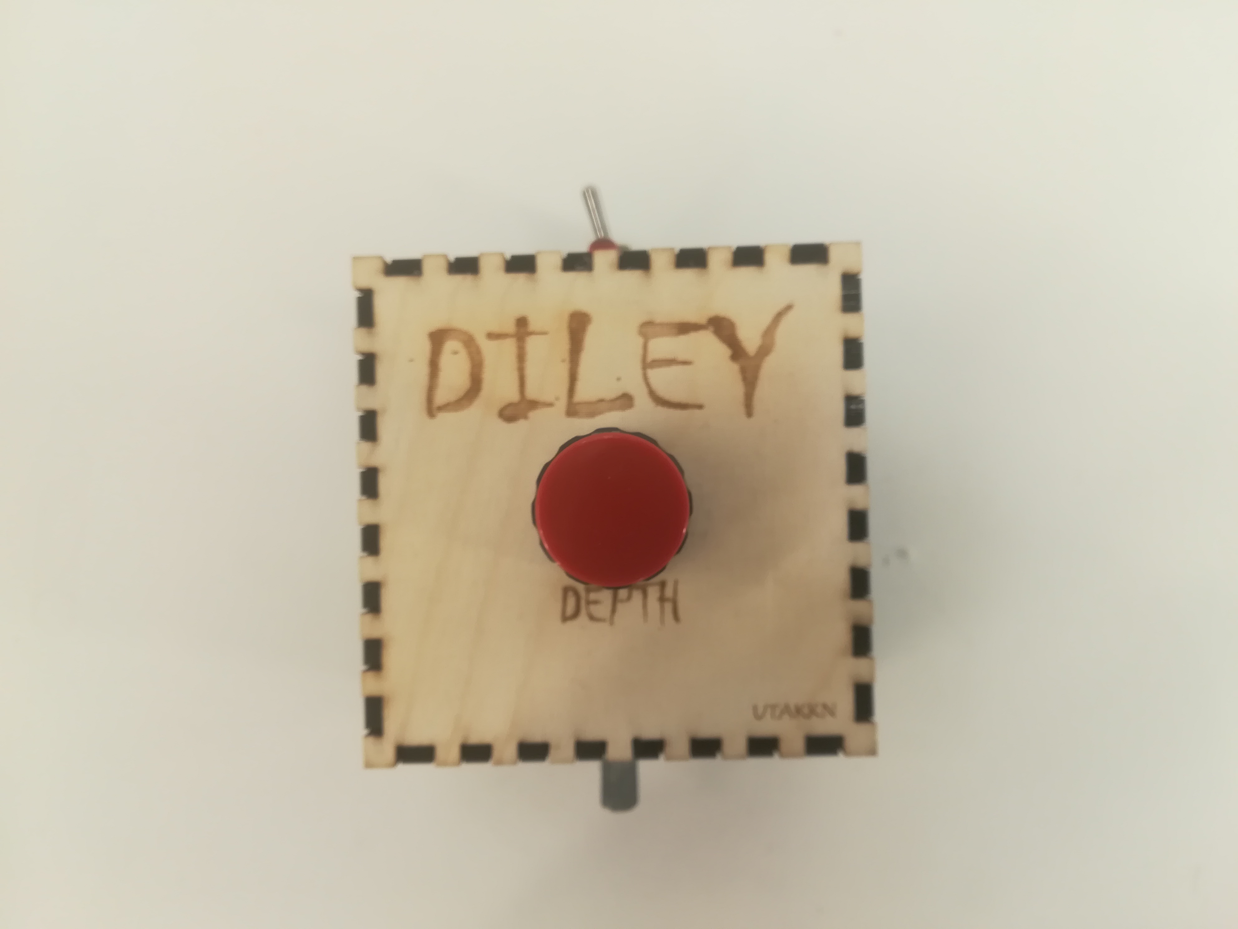 diley1